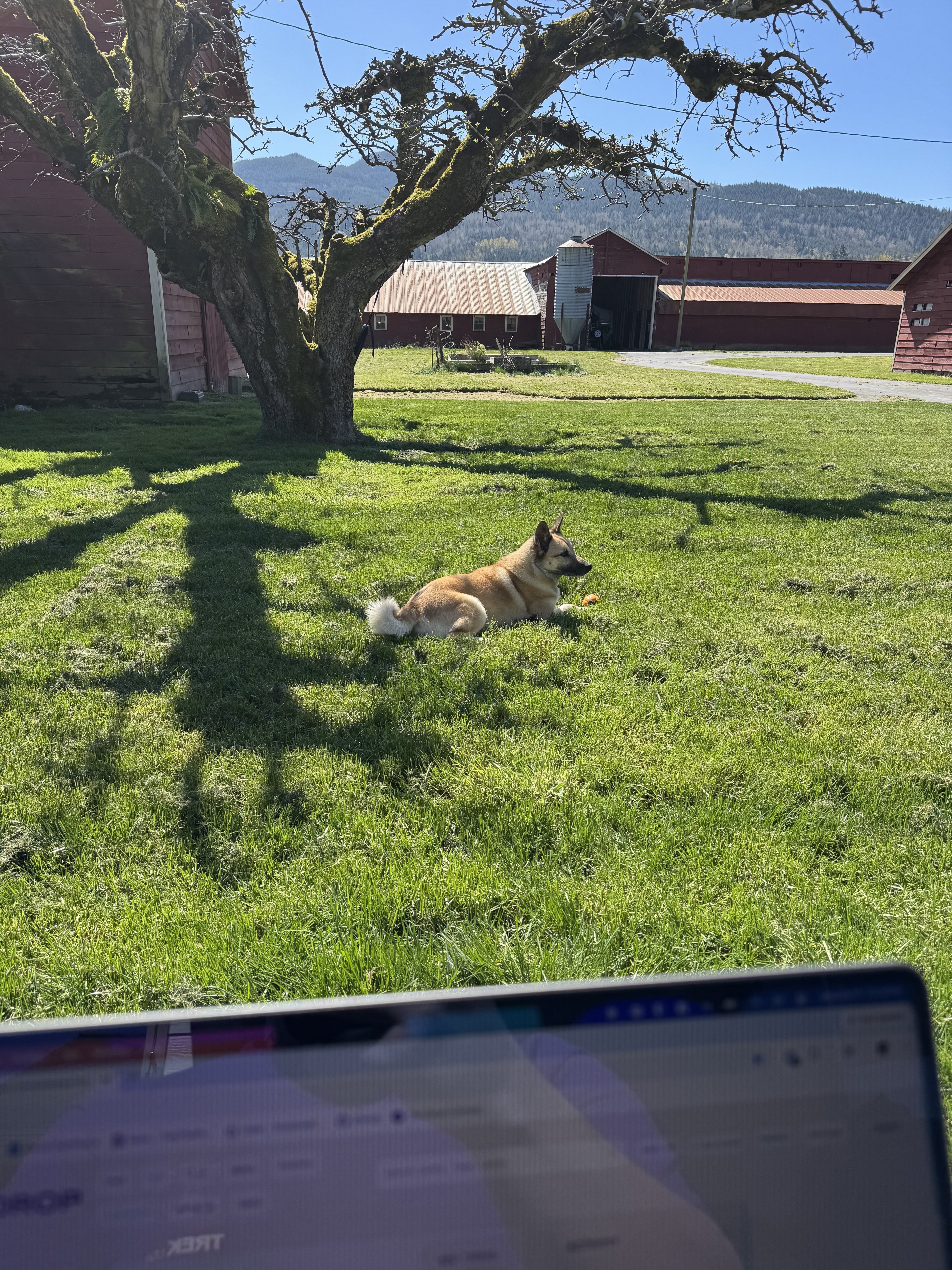 Working on implementing new features to the site. Will post on that soon - but P