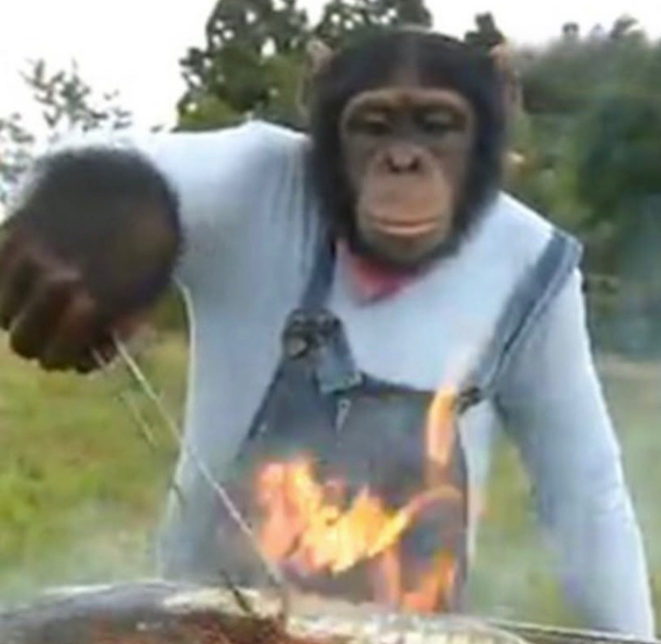 Taking orders what you guys want for dinner today 